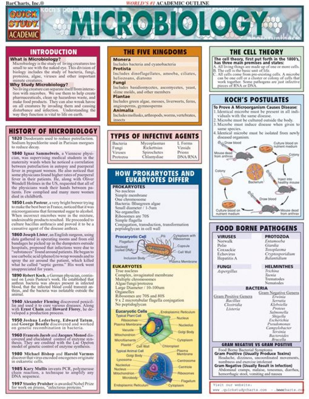 Big bigCover of Microbiology