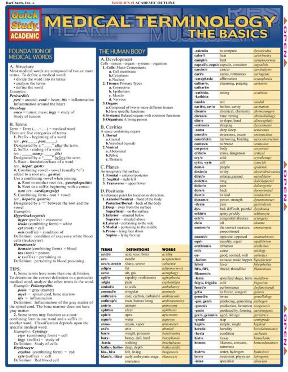 Big bigCover of Medical Term: The Basics