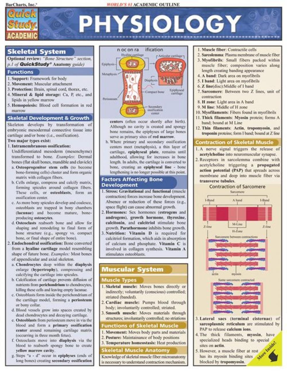 Big bigCover of Physiology