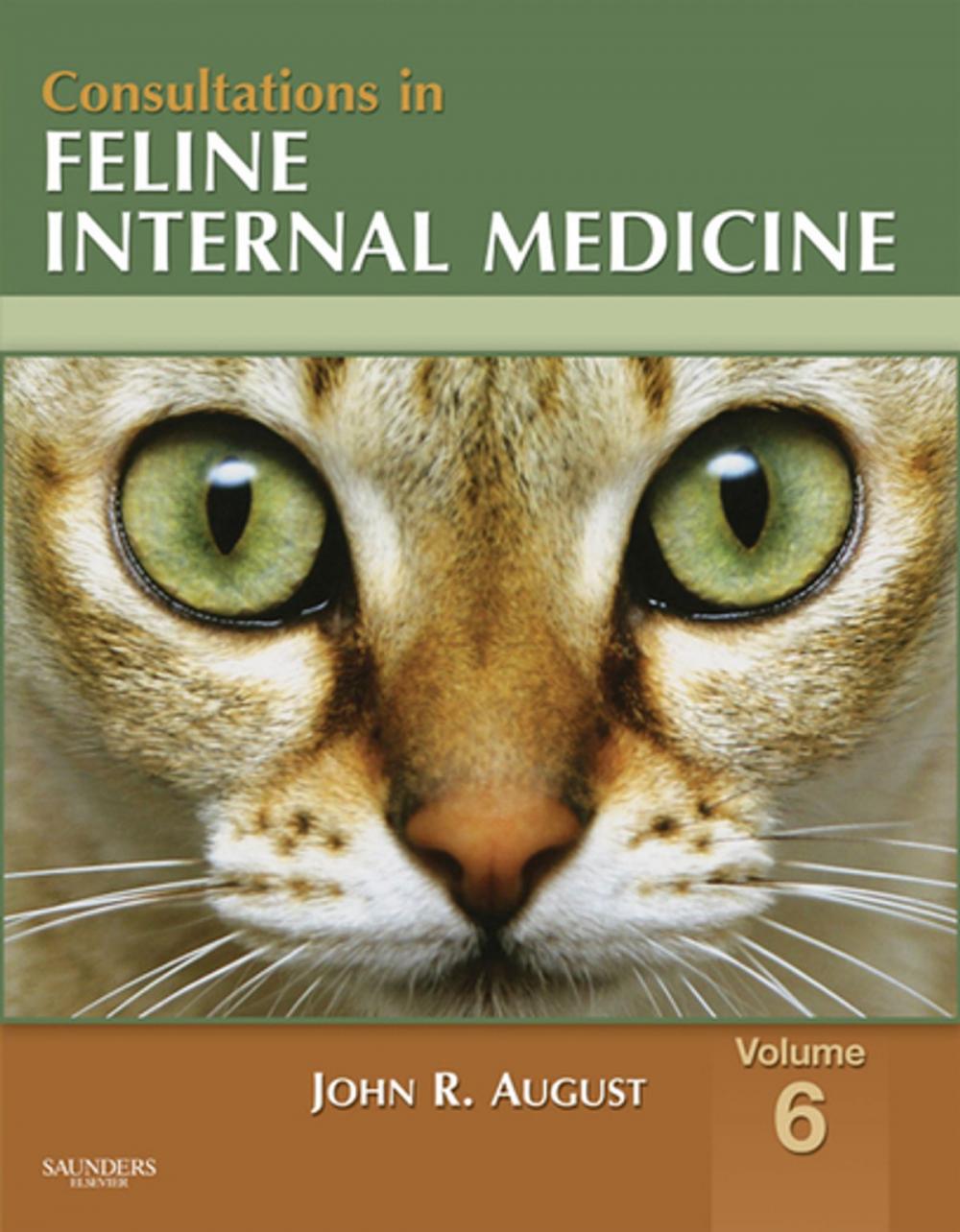 Big bigCover of Consultations in Feline Internal Medicine, Volume 6 - E-Book