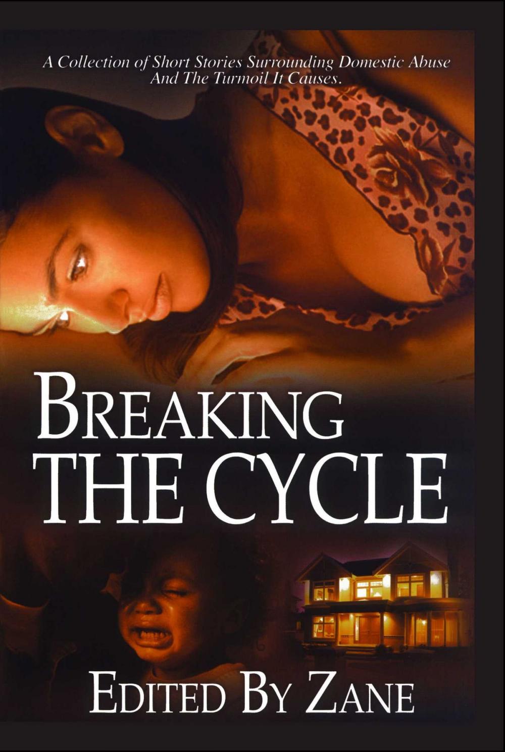 Big bigCover of Breaking the Cycle