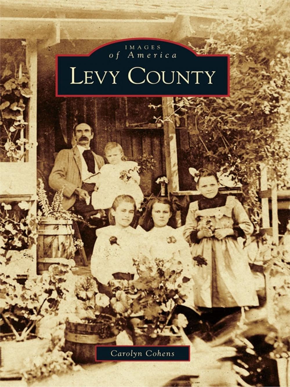 Big bigCover of Levy County