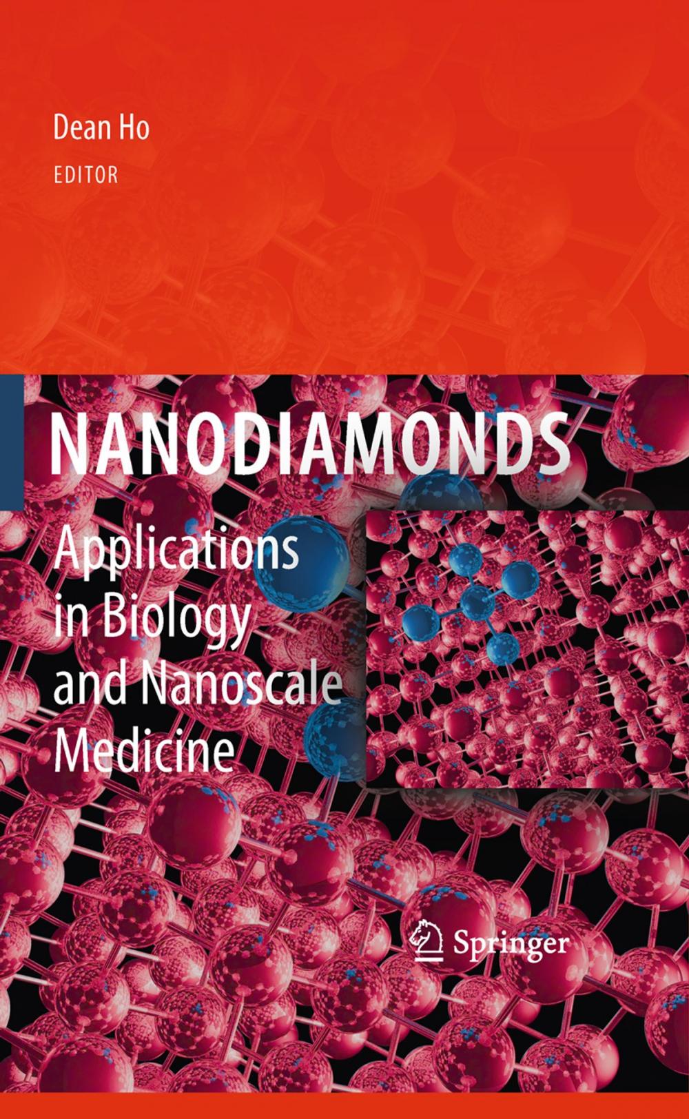 Big bigCover of Nanodiamonds