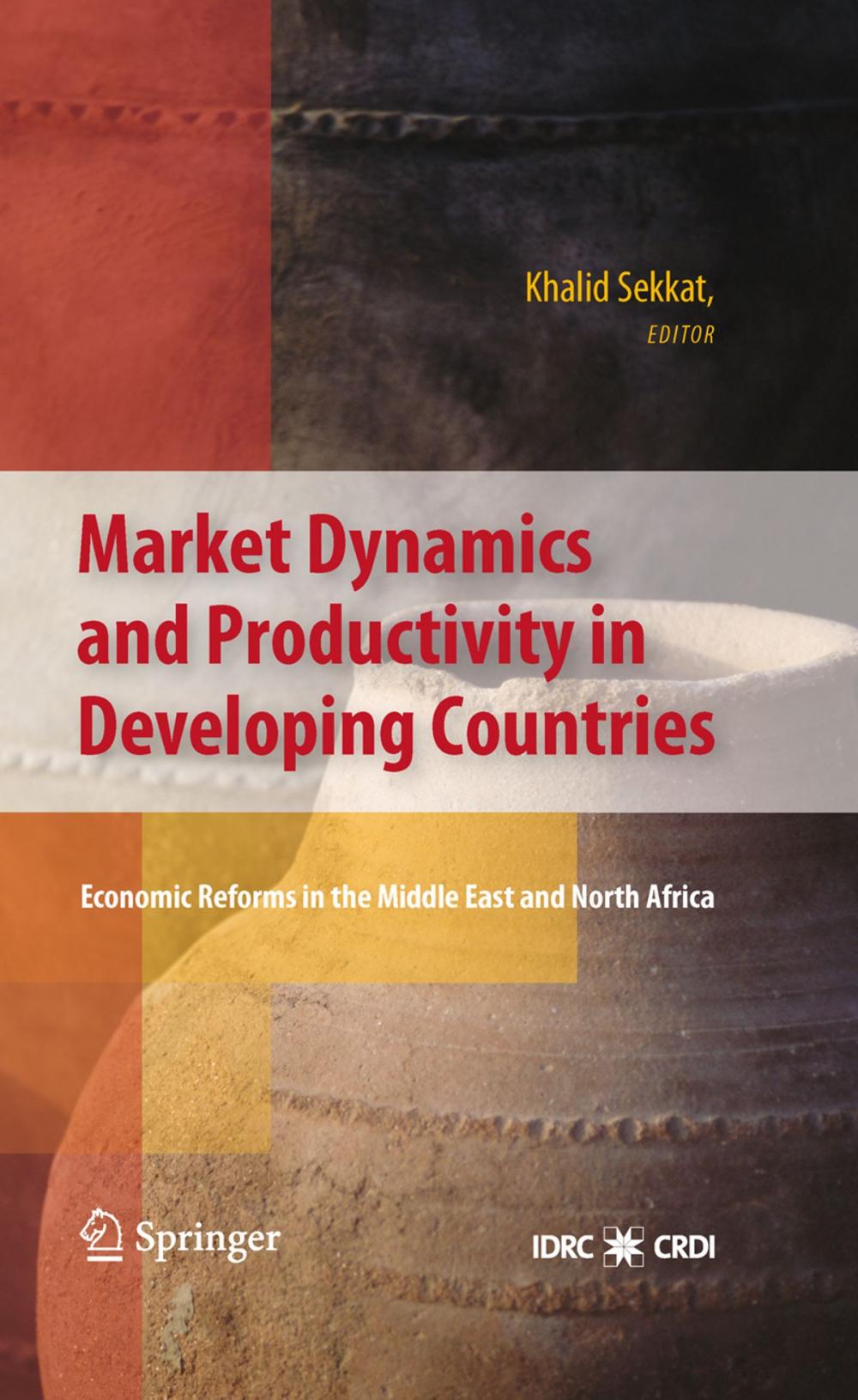 Big bigCover of Market Dynamics and Productivity in Developing Countries