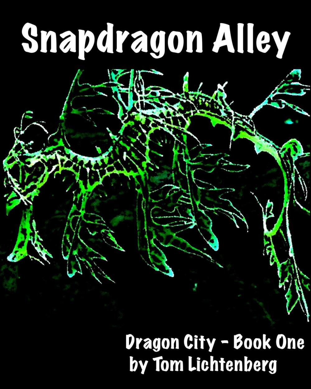 Big bigCover of Snapdragon Alley