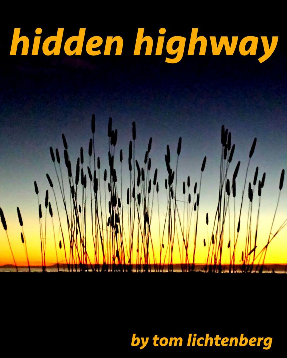 Big bigCover of Hidden Highway