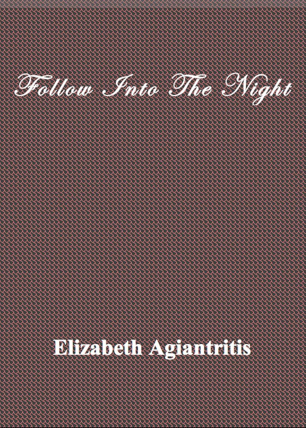 Big bigCover of Follow Into The Night