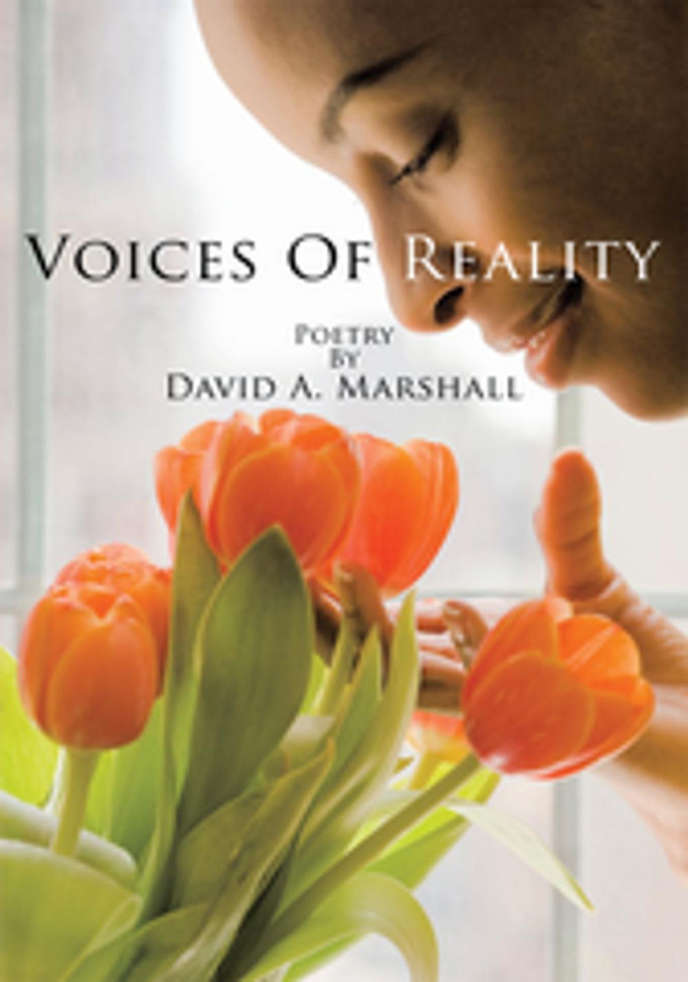 Big bigCover of Voices of Reality