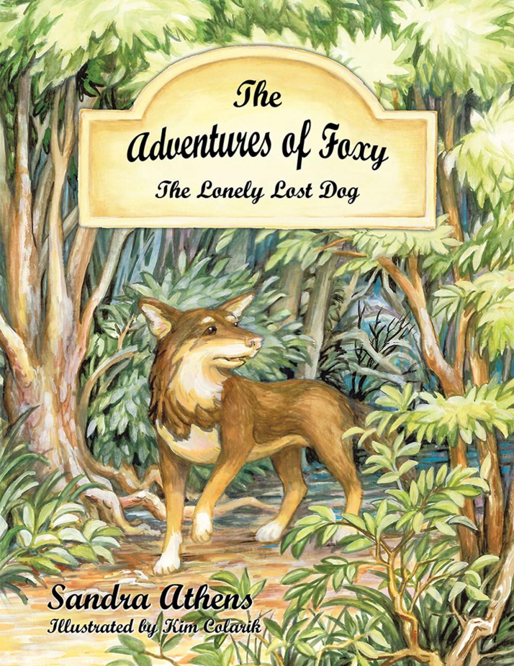 Big bigCover of The Adventures of Foxy