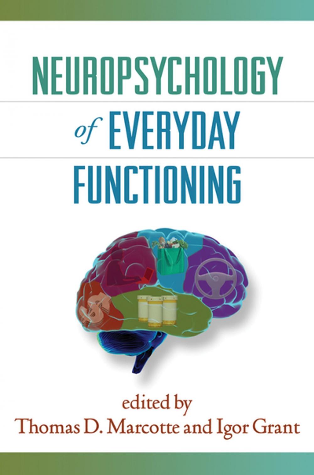 Big bigCover of Neuropsychology of Everyday Functioning