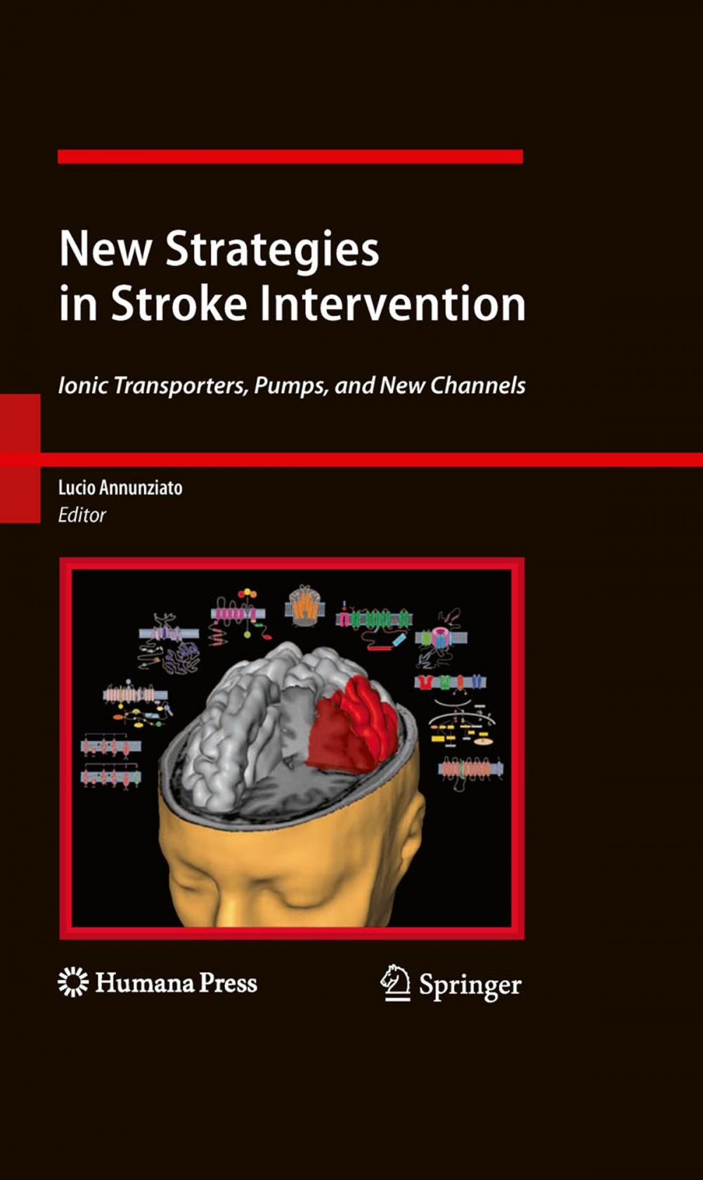 Big bigCover of New Strategies in Stroke Intervention