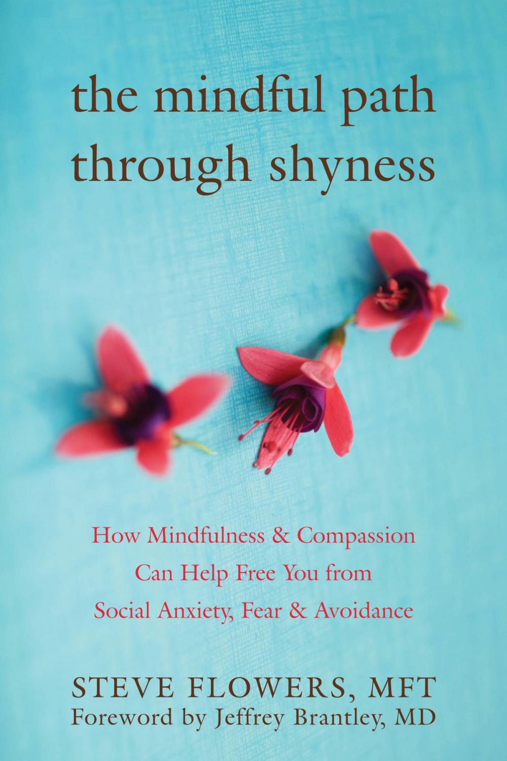 Big bigCover of The Mindful Path through Shyness