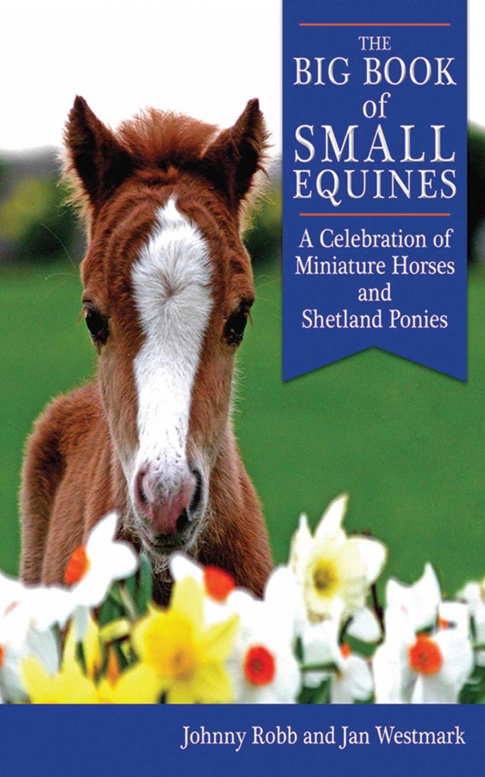 Big bigCover of The Big Book of Small Equines