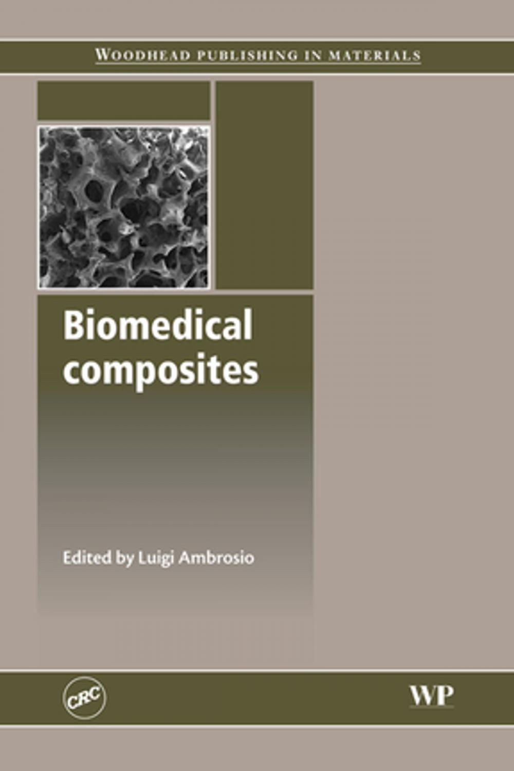 Big bigCover of Biomedical Composites