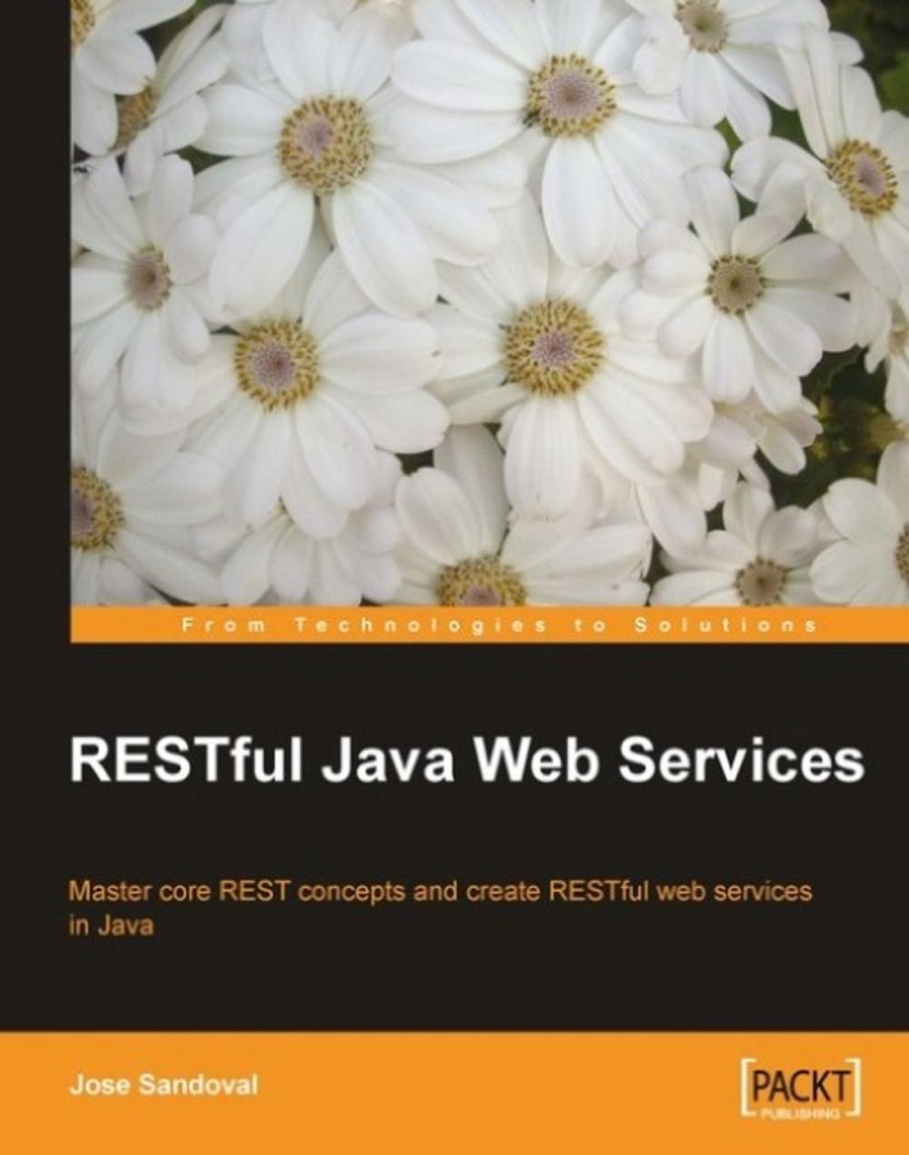 Big bigCover of RESTful Java Web Services