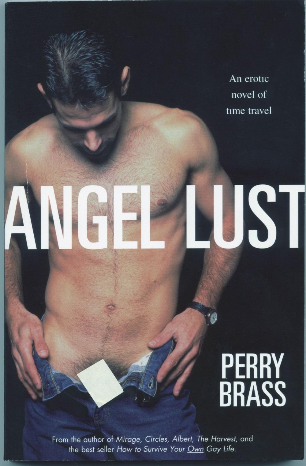 Big bigCover of Angel Lust, An Erotic Novel of Time Travel