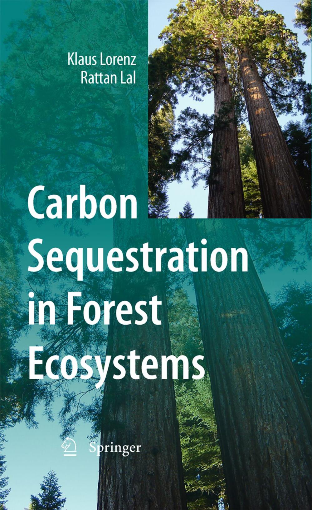 Big bigCover of Carbon Sequestration in Forest Ecosystems