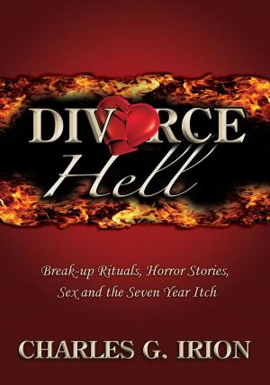 Cover of the book Divorce Hell by Kerri Hummingbird Sami