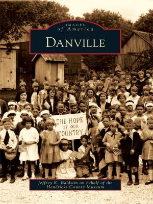 Cover of the book Danville by Matthew W. McCauley