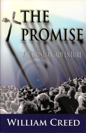 bigCover of the book The Promise: A Christian Adventure Book Three by 