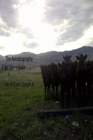 bigCover of the book The Autobiography of Claire-belle by 