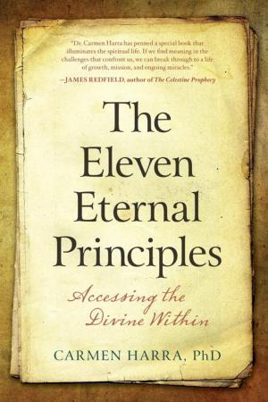 Book cover of The Eleven Eternal Principles