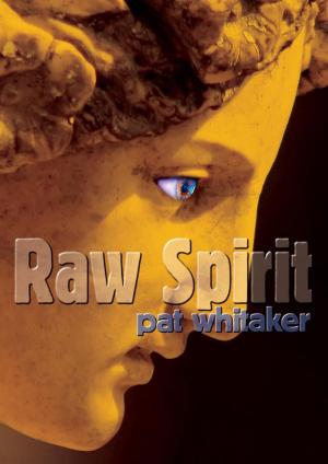 bigCover of the book Raw Spirit by 