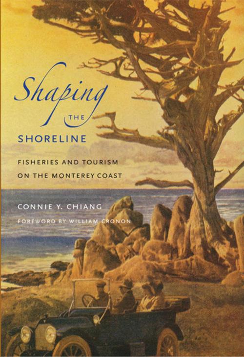 Cover of the book Shaping the Shoreline by Connie Y. Chiang, University of Washington Press