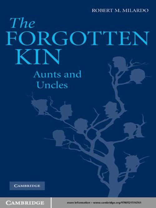 Cover of the book The Forgotten Kin by Robert M. Milardo, PhD, Cambridge University Press