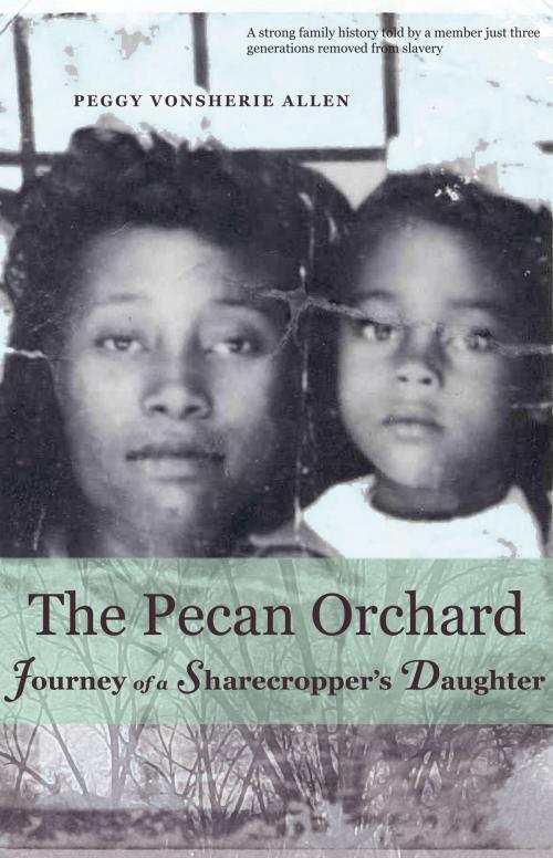 Cover of the book The Pecan Orchard by Peggy Vonsherie Allen, University of Alabama Press