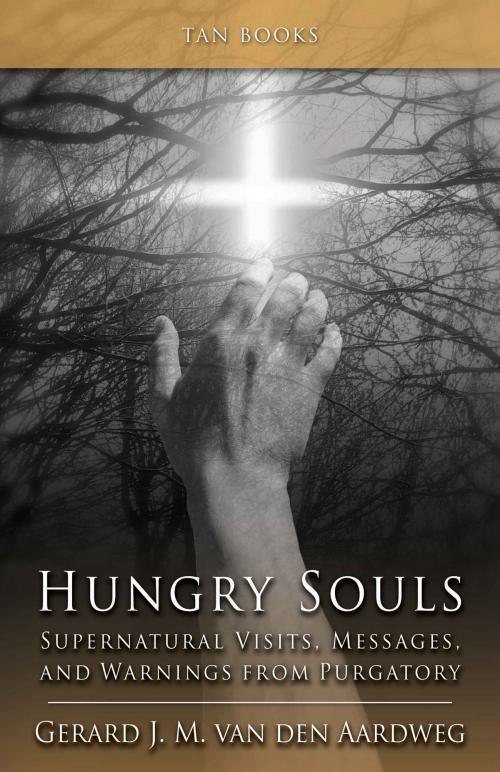 Cover of the book Hungry Souls by Gerard J.M. van den Aardweg, TAN Books