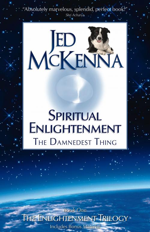 Cover of the book Spiritual Enlightenment: The Damnedest Thing MMX by Jed McKenna, Jed McKenna