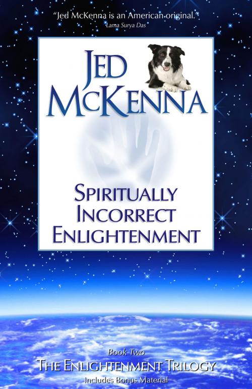Cover of the book Spiritually Incorrect Enlightenment MMX by Jed McKenna, Jed McKenna