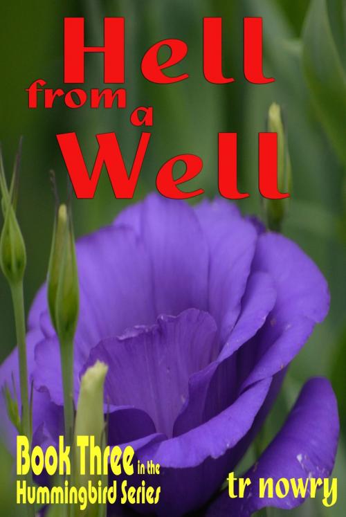 Cover of the book Hell from a Well by TR Nowry, TR Nowry