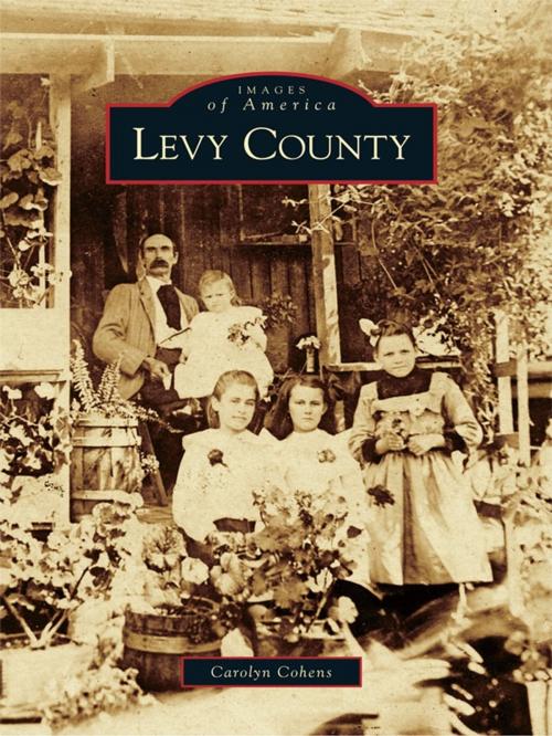 Cover of the book Levy County by Carolyn Cohens, Arcadia Publishing Inc.