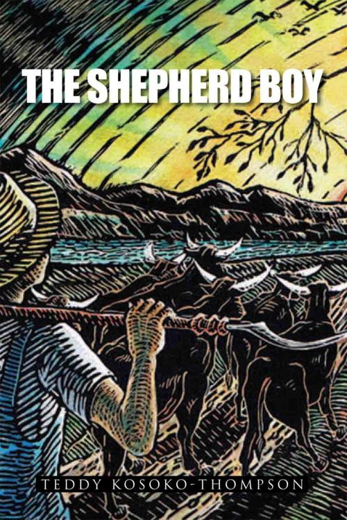 Cover of the book The Shepherd Boy by Teddy Kosoko-Thompson, Xlibris US