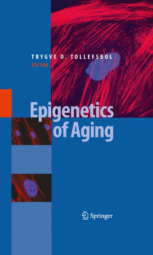 Cover of the book Epigenetics of Aging by , Springer New York