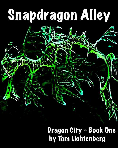 Cover of the book Snapdragon Alley by Tom Lichtenberg, Tom Lichtenberg