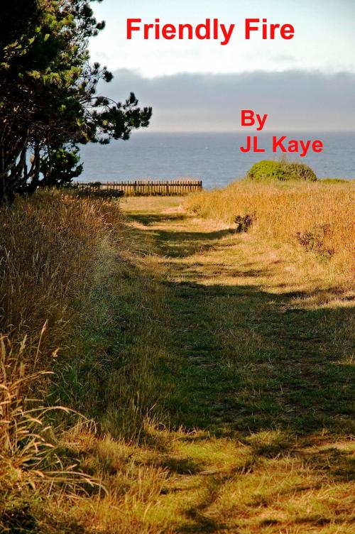 Cover of the book Friendly Fire by JL Kaye, JL Kaye