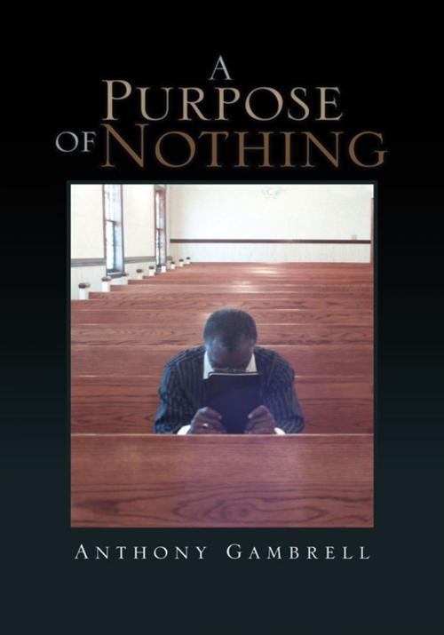 Cover of the book A Purpose of Nothing by Anthony Gambrell, Xlibris US