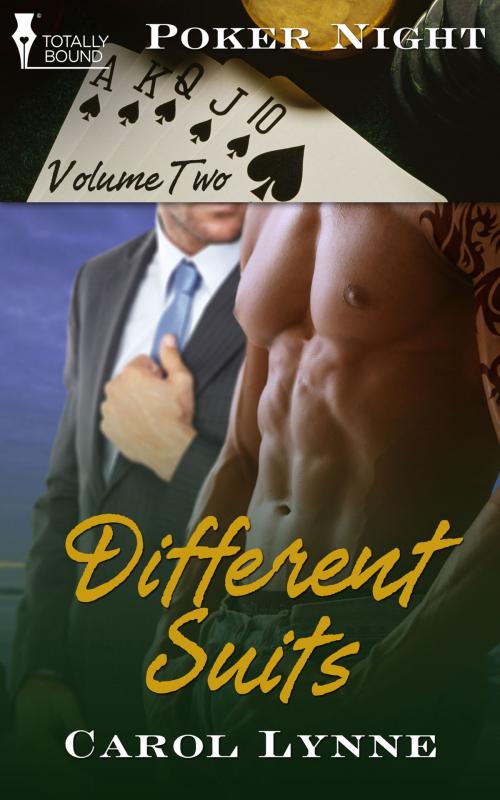 Cover of the book Different Suits by Carol Lynne, Totally Entwined Group Ltd