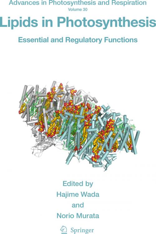 Cover of the book Lipids in Photosynthesis by , Springer Netherlands