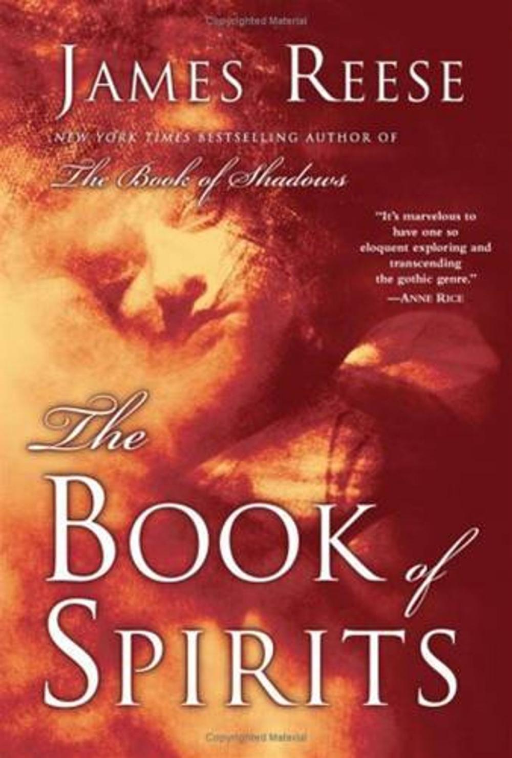 Big bigCover of The Book of Spirits