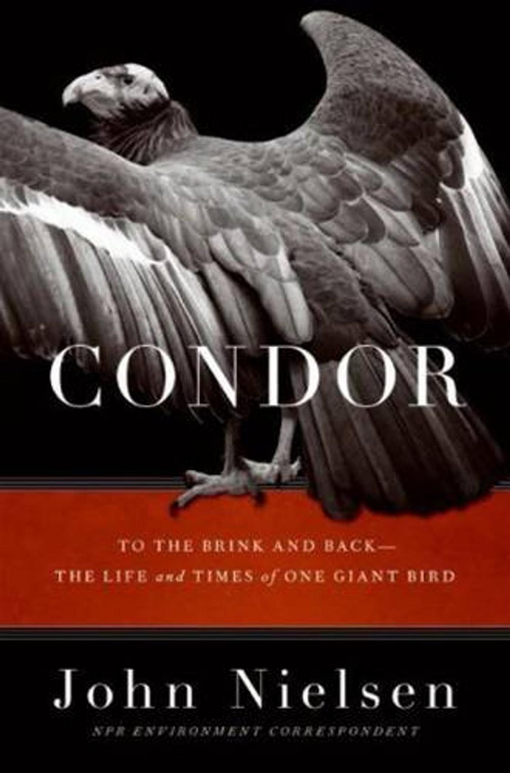 Big bigCover of Condor