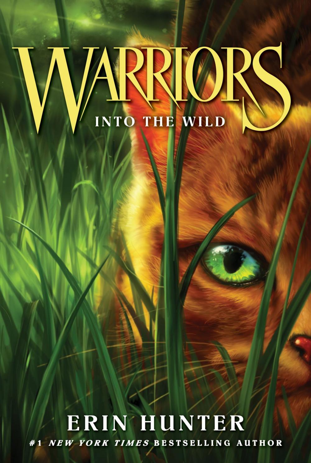 Big bigCover of Warriors #1: Into the Wild