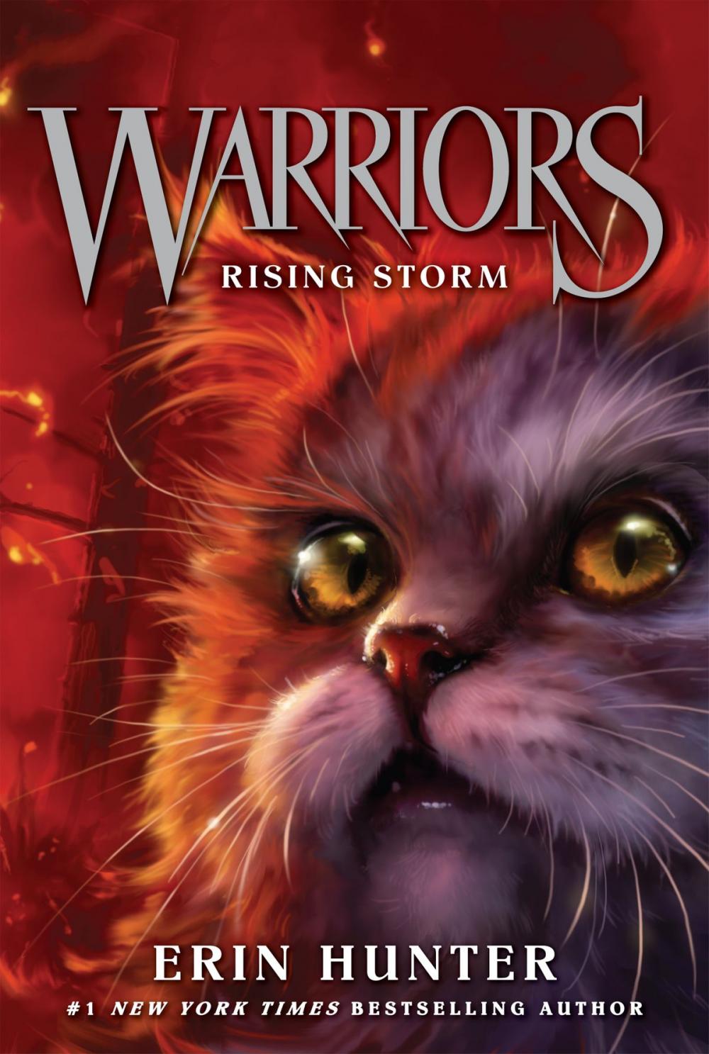 Big bigCover of Warriors #4: Rising Storm