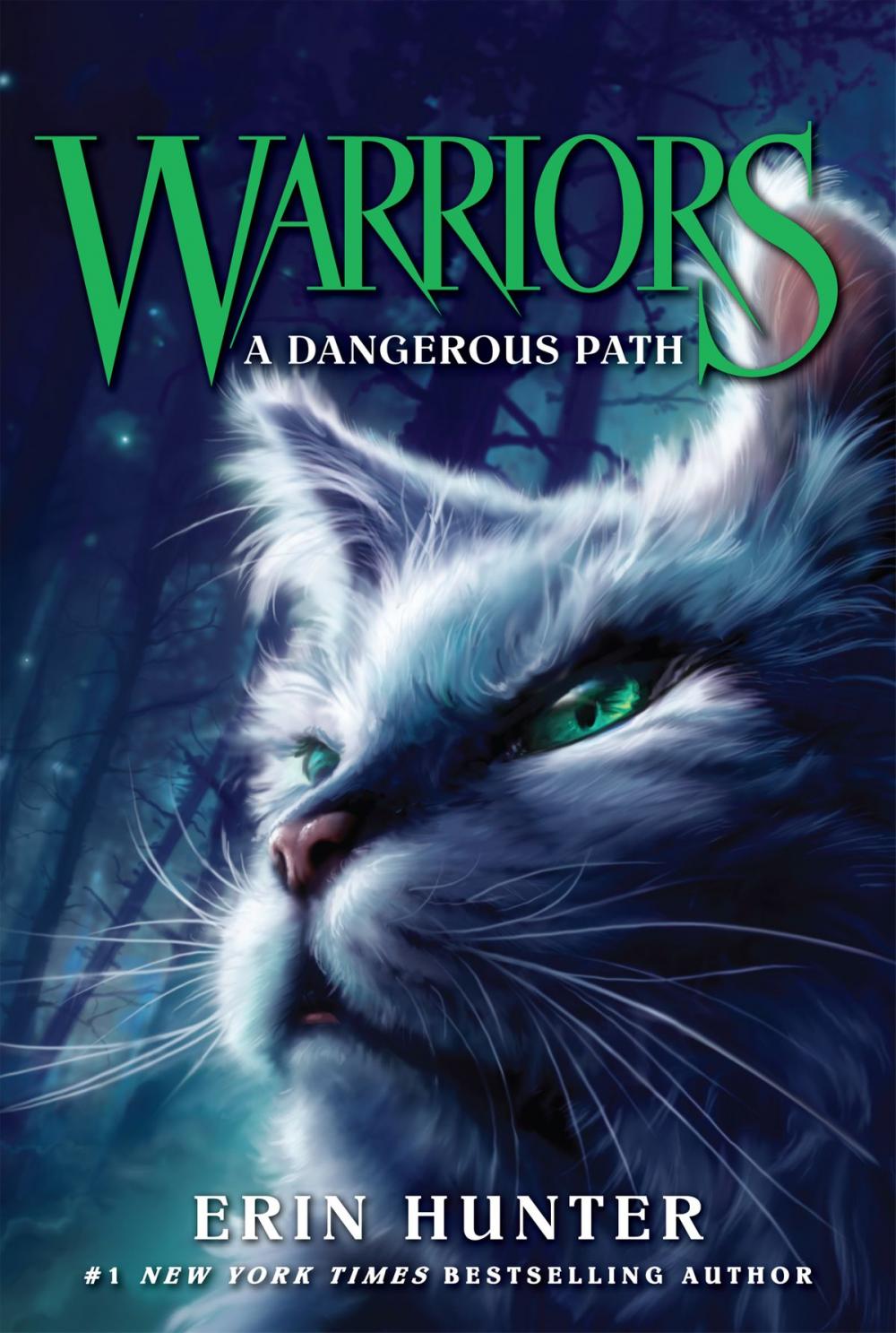 Big bigCover of Warriors #5: A Dangerous Path