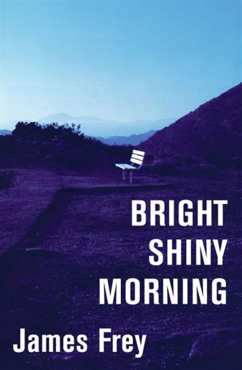 Big bigCover of Bright Shiny Morning