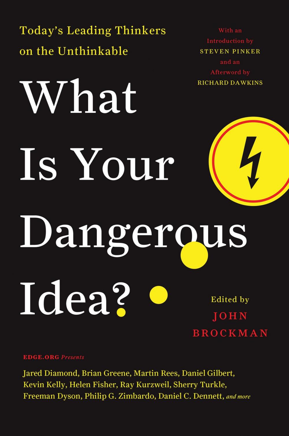 Big bigCover of What Is Your Dangerous Idea?