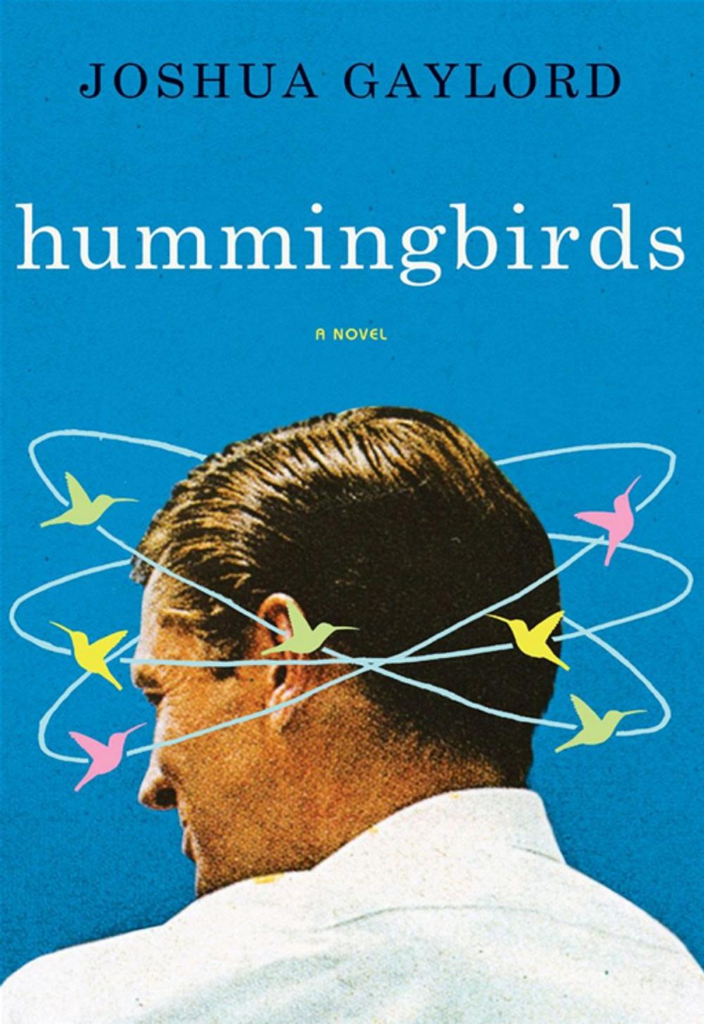 Big bigCover of Hummingbirds